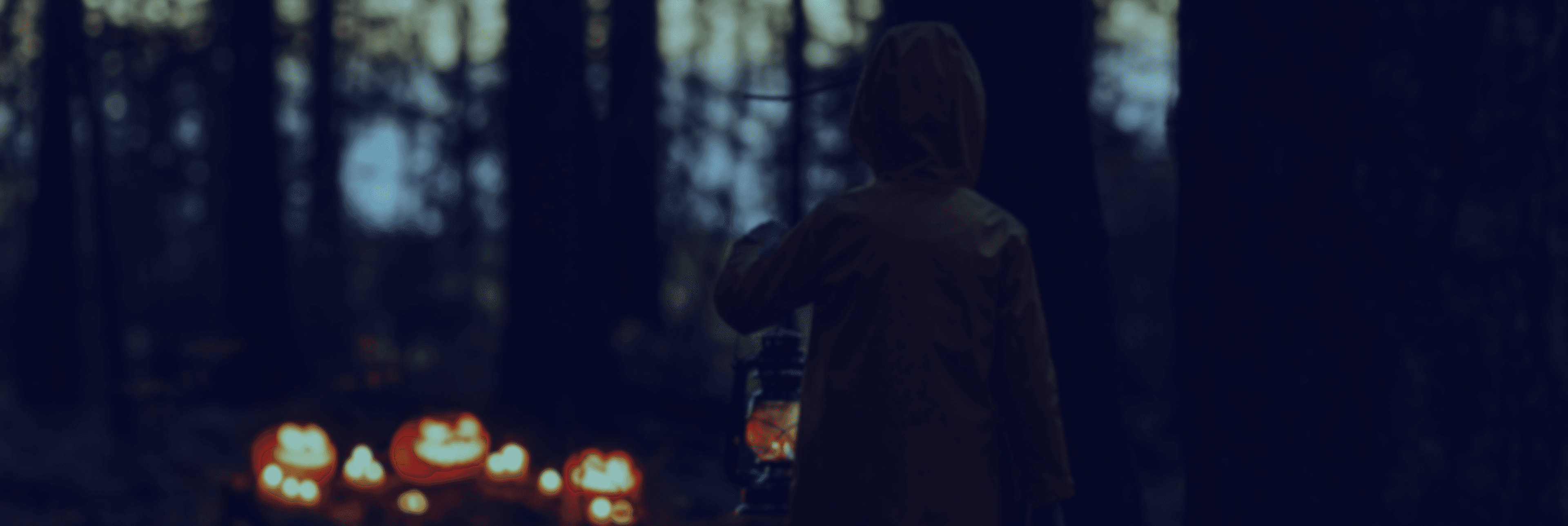 Magical train ride through enchanted forest