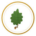 Oak tier